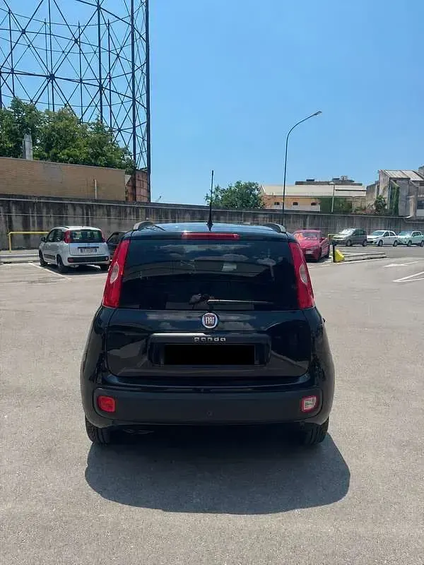 Usata Fiat Panda Lounge 69 CV (50 kW) 2019 Utilitaria