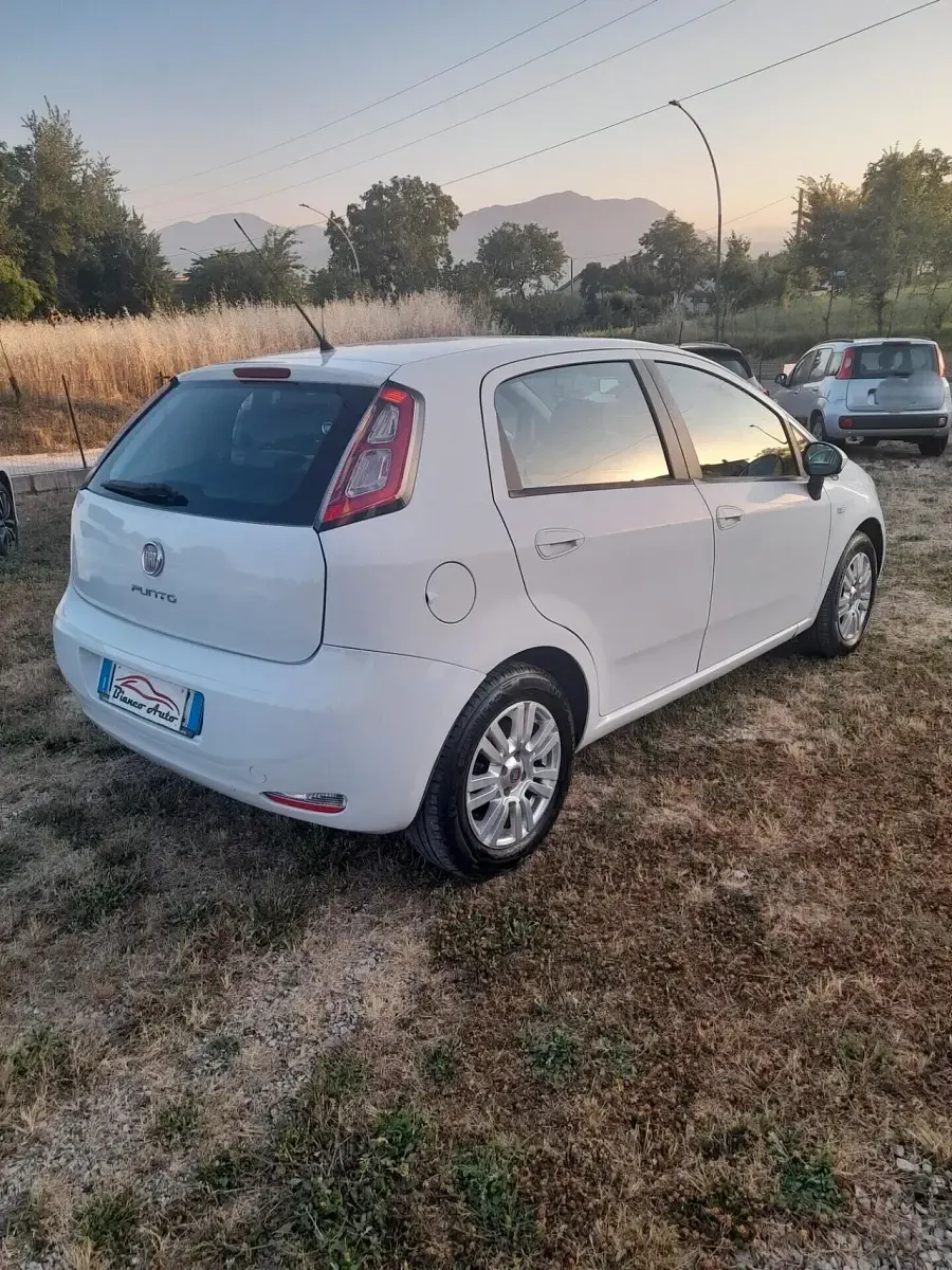 Usata Fiat Punto Lounge 85 CV (62 kW) 2012 Bianco Utilitaria