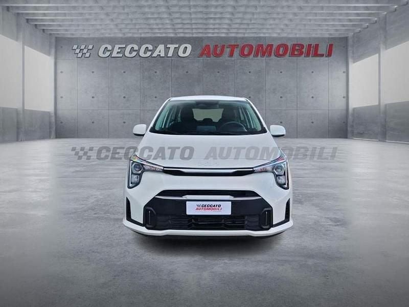 Usado Kia Picanto Urban 63 CV (46 kW) 2025 Azul Utilitario