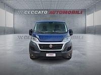 Usata Fiat Ducato 116 CV (85 kW) 2019 Blu Furgone
