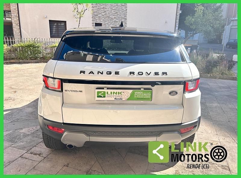 Usata Land Rover Range Rover evoque SE 150 CV (110 kW) 2019 Bianco SUV