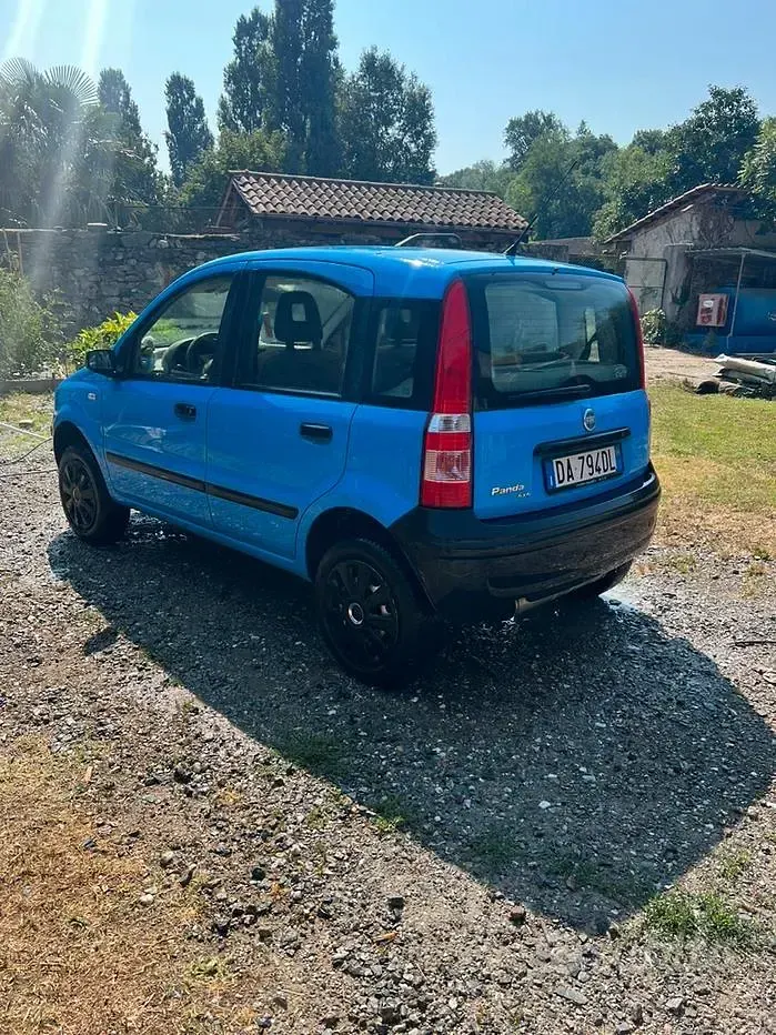 Usata Fiat Panda 4x4 60 CV (44 kW) 2006 Bluazzurro Utilitaria