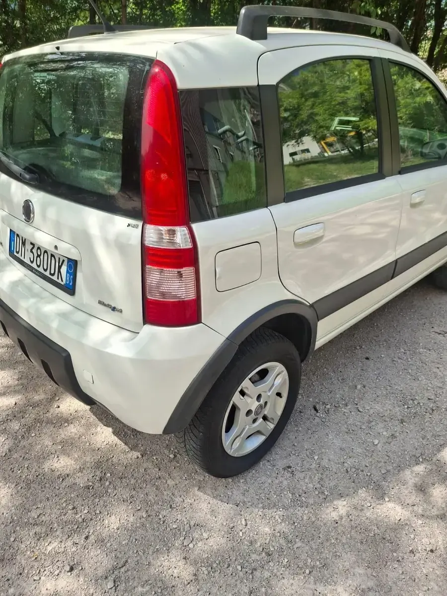 Usata Fiat Panda 4x4 69 CV (50 kW) 2008 Bianco Utilitaria