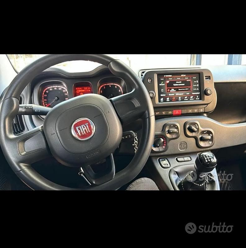 Usata Fiat Panda Easy 69 CV (50 kW) 2020 Utilitaria