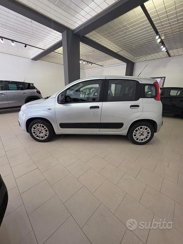 Usata Fiat Panda Connect 69 CV (50 kW) 2019 Grigio Utilitaria