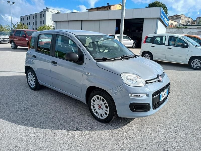 Usata Fiat Panda Easy 70 CV (51 kW) 2019 Grigio Utilitaria