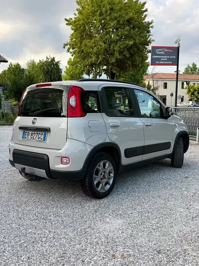 Usata Fiat Panda 4x4 S 75 CV (55 kW) 2013 Grigio Utilitaria