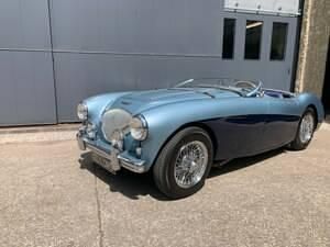 Usata Austin Healey 100 90 CV (66 kW) 1954 Altri Cabrio