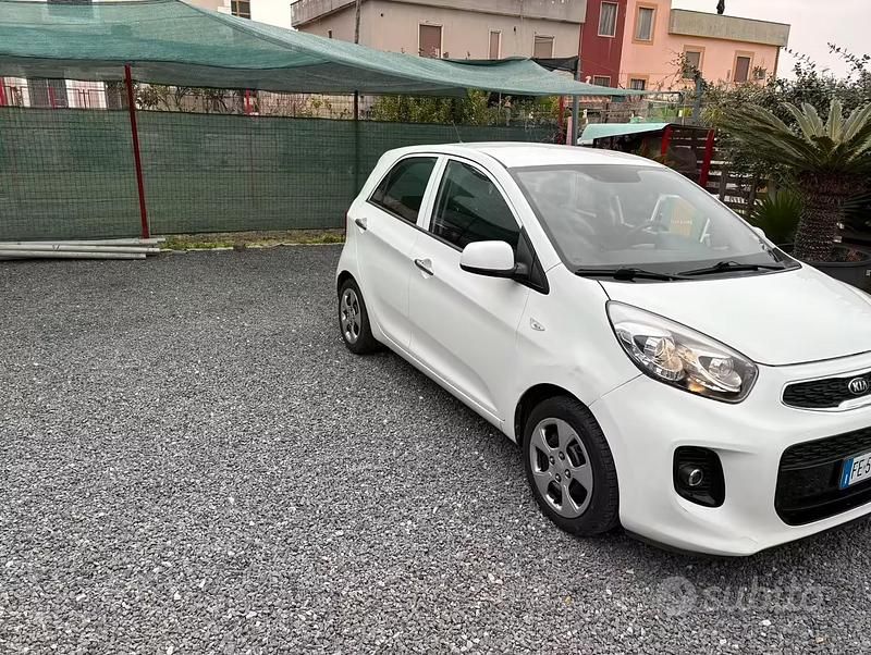 Usata Kia Picanto 68 CV (50 kW) 2016 Bianco Utilitaria