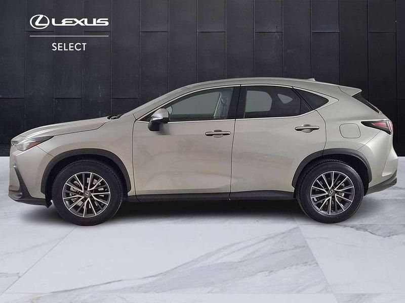 Usata Lexus NX200t 185 CV (136 kW) 2023 Argento SUV