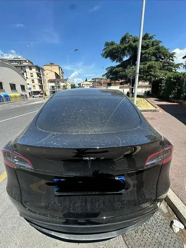 Usata Tesla Model Y RWD 114 kW (155 CV) 2024 Nero SUV