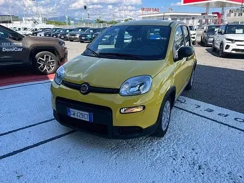 Usata Fiat Panda S 70 CV (51 kW) 2024 Utilitaria