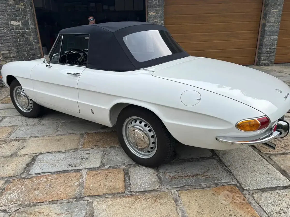 Usata Alfa Romeo Spider 1960 Bianco