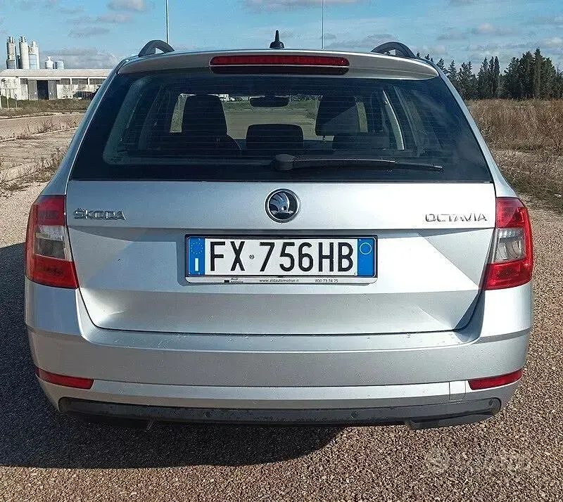 Usata Skoda Octavia Ambition 116 CV (85 kW) 2019 Grigio Station wagon
