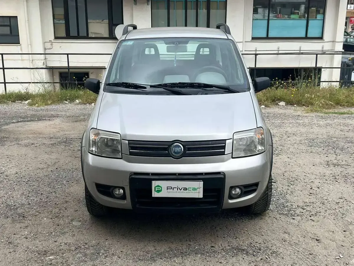 Usata Fiat Panda 4x4 Climbing 69 CV (50 kW) 2005 Grigio Utilitaria