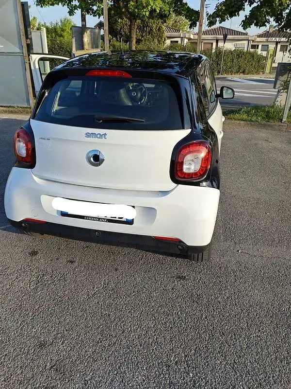Usata Smart ForFour Prime 90 CV (66 kW) 2019 Utilitaria