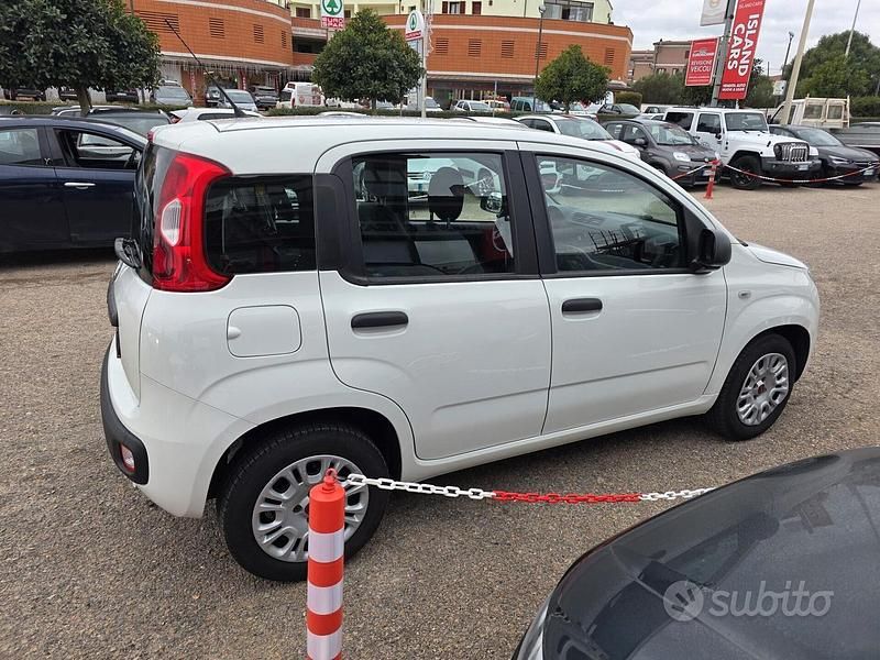 Usata Fiat Panda Easy 69 CV (50 kW) 2019 Bianco Berlina