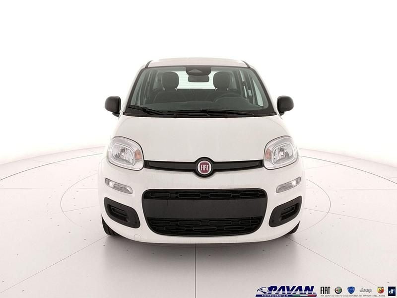 Nuova Fiat Panda Icon 65 CV (47 kW) 2026 Bianco Utilitaria