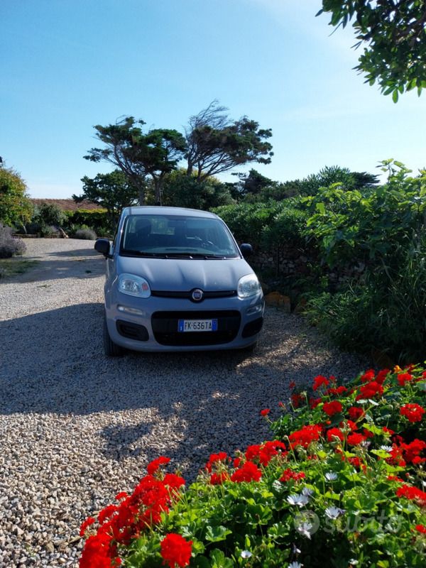 Usata Fiat Panda 69 CV (50 kW) 2017 Grigio Utilitaria