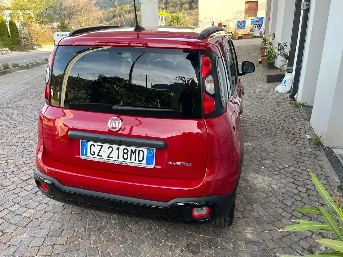 Usata Fiat Panda Cross Cross 69 CV (50 kW) 2025 Rosso Utilitaria