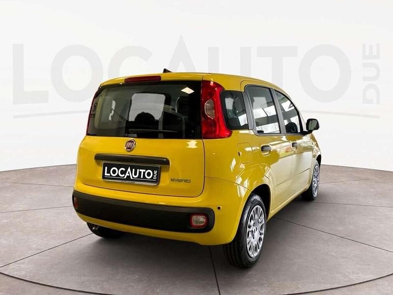 Nuova Fiat Panda Icon 69 CV (50 kW) 2025 Giallo Berlina