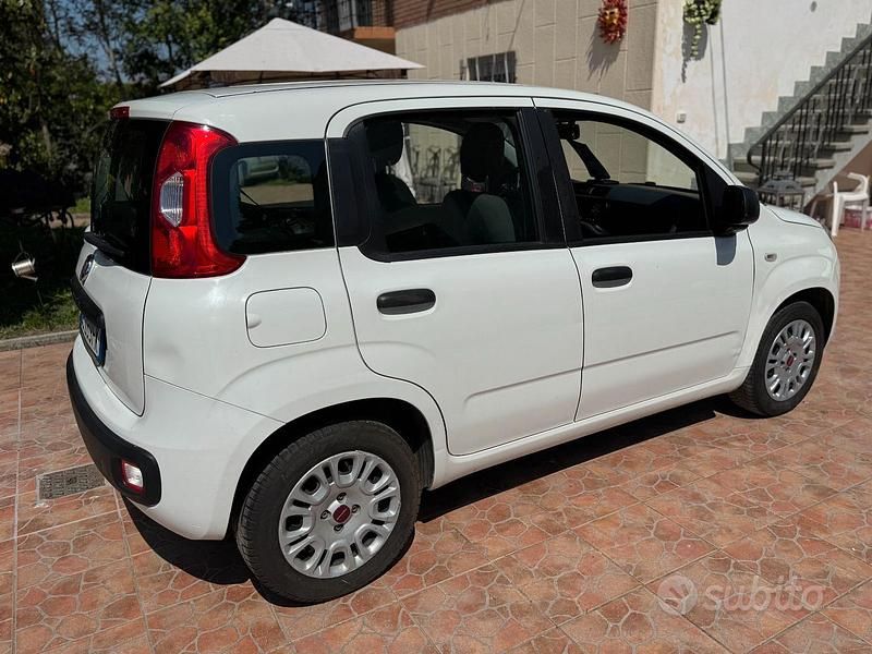 Usata Fiat Panda 69 CV (50 kW) 2021 Utilitaria