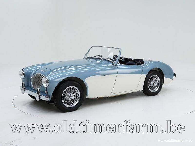 Altri Usata 1954 Austin Healey 100 Cabrio | 78.000 € - Immagine 1/4