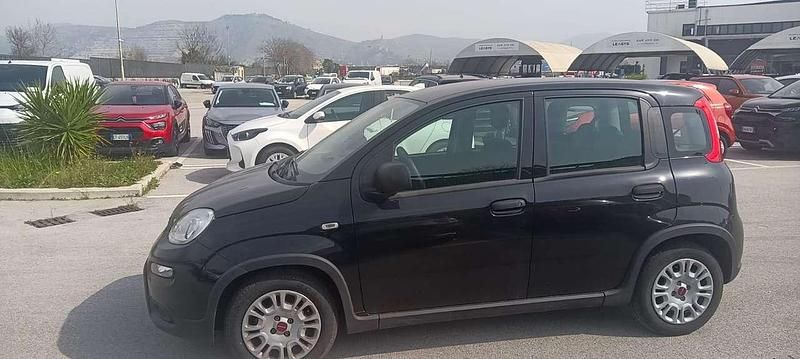 Usata Fiat Panda S 69 CV (50 kW) 2024 Nero Utilitaria
