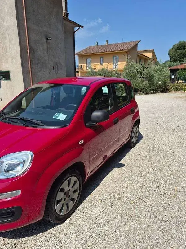 Usata Fiat Panda Pop 69 CV (50 kW) 2013 Rosso Utilitaria
