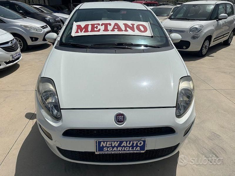 Usata Fiat Punto Easy 80 CV (58 kW) 2013 Bianco Utilitaria