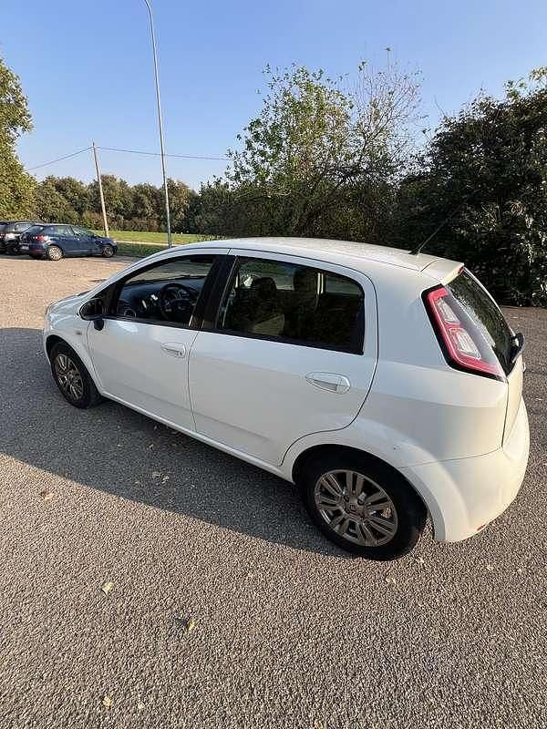 Usata Fiat Punto Evo Active 65 CV (47 kW) 2013 Utilitaria