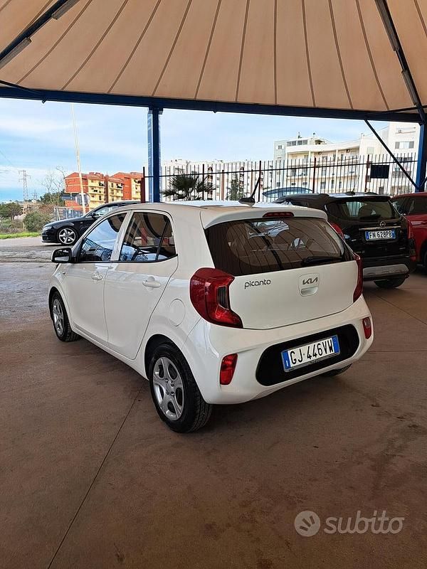 Usata Kia Picanto Urban 67 CV (49 kW) 2022 Bianco Utilitaria