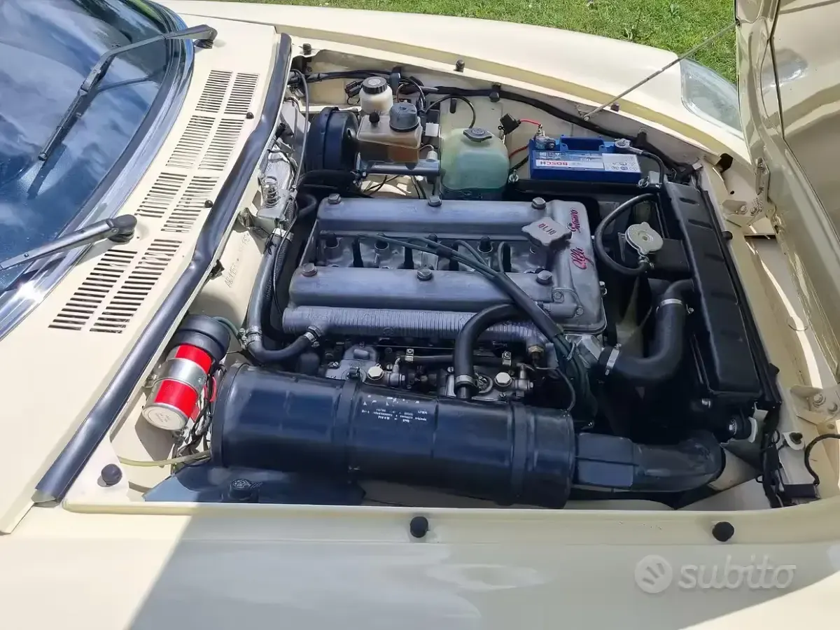 Usata Alfa Romeo Spider Veloce 104 CV (76 kW) 1981 Cabrio