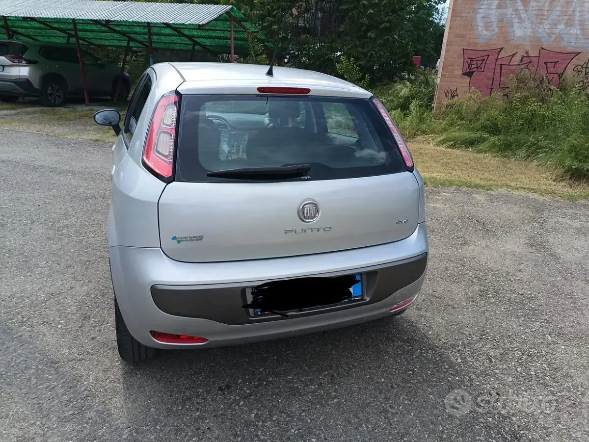 Usata Fiat Punto Evo 75 CV (55 kW) 2011 Grigio Utilitaria