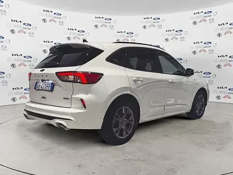 Usata Ford Kuga ST-Line 190 CV (139 kW) 2022 Frozen white SUV