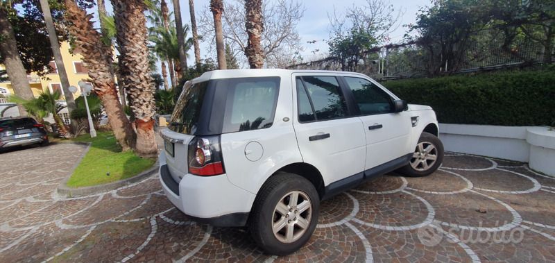 Usata Land Rover Freelander 2 S 150 CV (110 kW) 2014 Bianco SUV