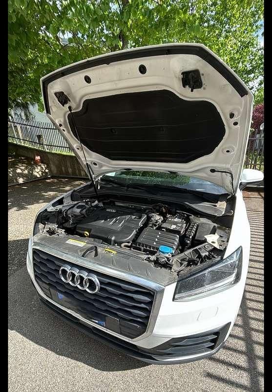 Usata Audi Q2 Business 116 CV (85 kW) 2019 SUV