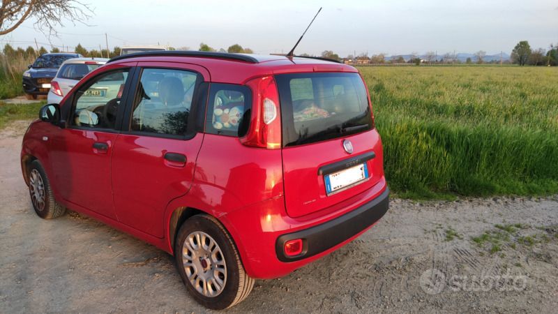 Usata Fiat Panda 69 CV (50 kW) 2013 Rosso Utilitaria