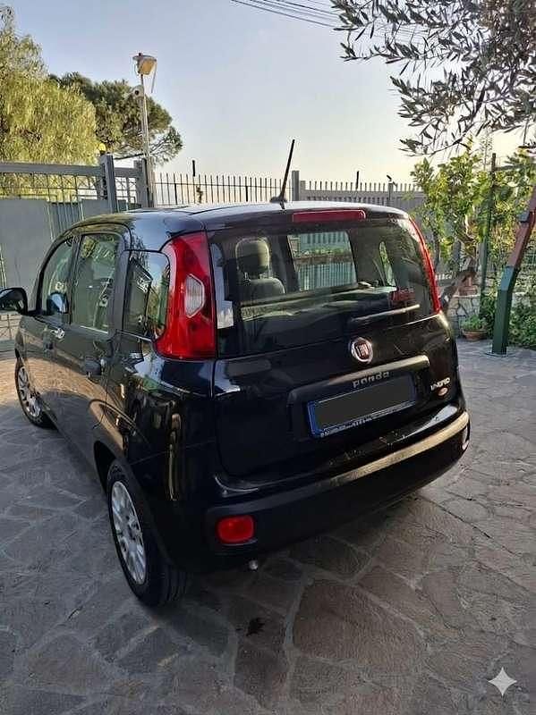 Usata Fiat Panda Easy 69 CV (50 kW) 2021 Utilitaria