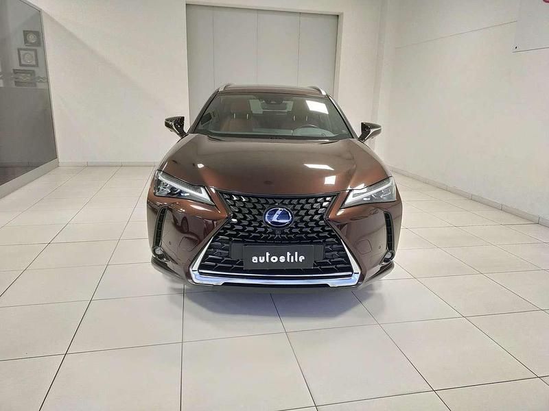 Usata Lexus UX 250h Luxury Line 184 CV (135 kW) 2021 Bronzo SUV