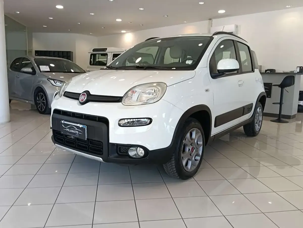 Usata Fiat Panda 4x4 S 75 CV (55 kW) 2013 Utilitaria