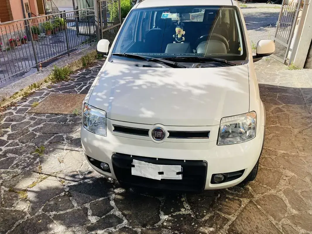 Usata Fiat Panda 4x4 Climbing 69 CV (50 kW) 2011 Utilitaria