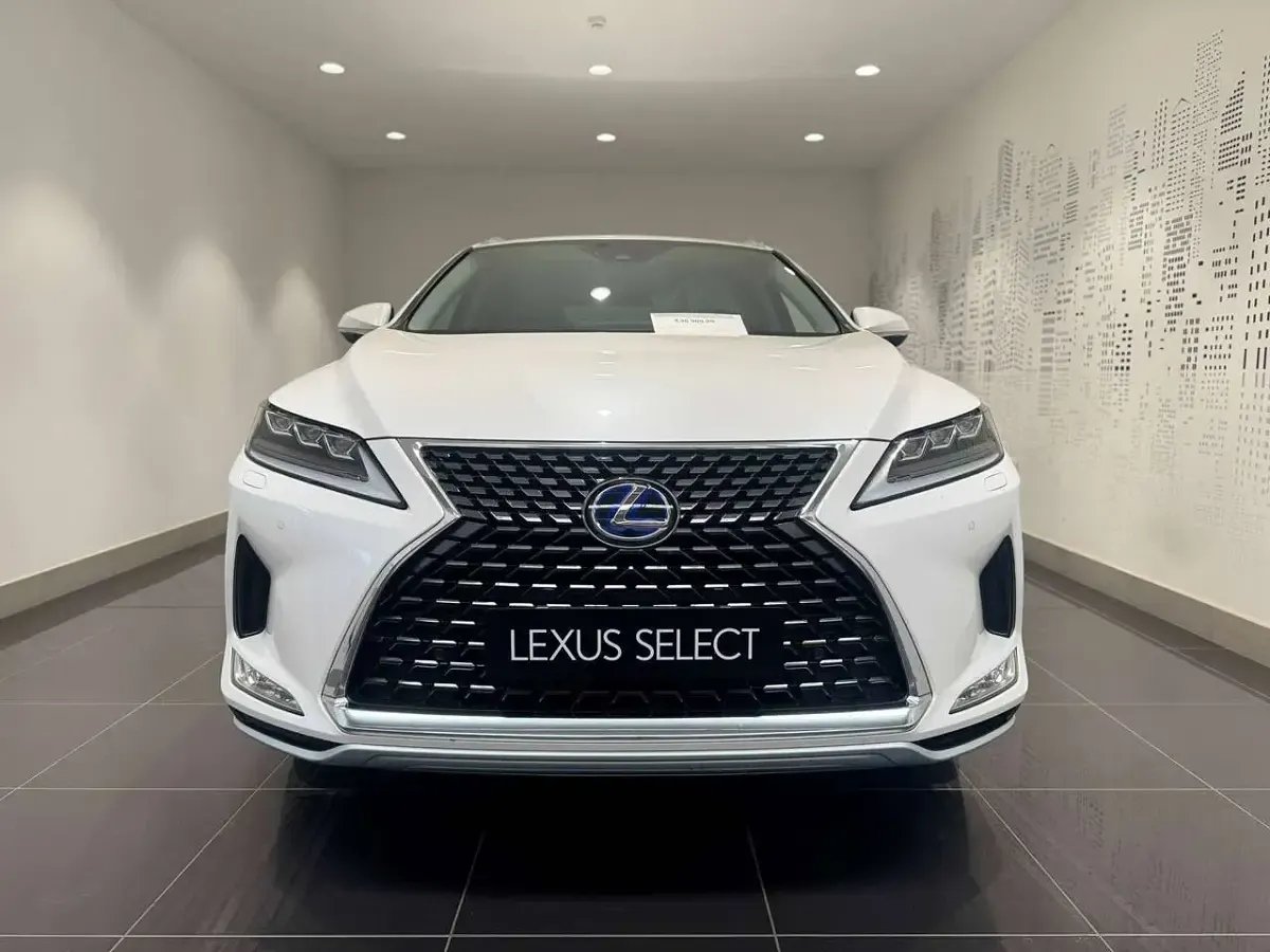 Usata Lexus RX450h Executive Line 262 CV (192 kW) 2019 Bianco perla SUV