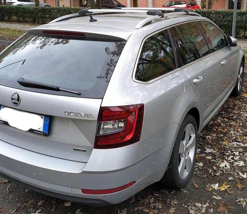 Usata Skoda Octavia G-TEC Ambition 110 CV (80 kW) 2017 Argento Station wagon