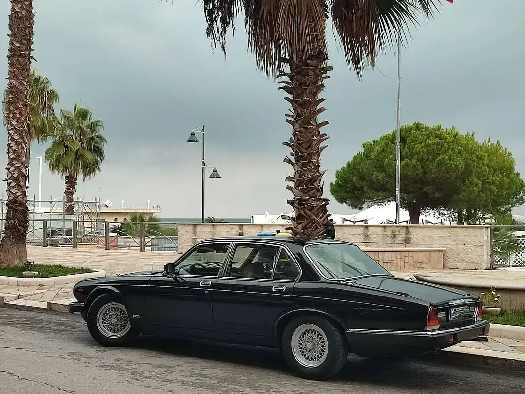 Usata Jaguar XJ12 Sovereign 295 CV (216 kW) 1988 Berlina