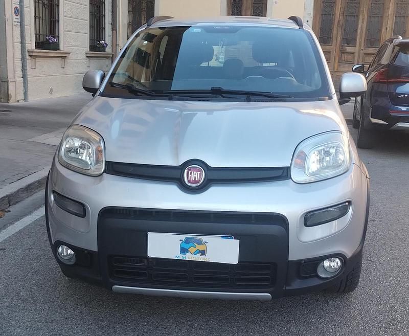 Usata Fiat Panda 4x4 S 95 CV (69 kW) 2016 Argento Utilitaria