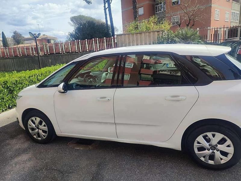 Usata Citroën C4 Picasso Business Class 116 CV (85 kW) 2014 Monovolume