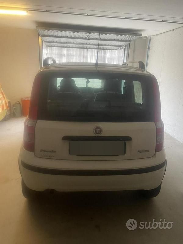 Usata Fiat Panda 2010 Bianco Utilitaria