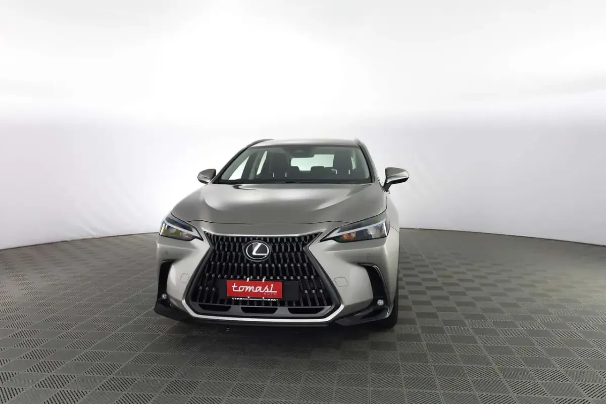 Usata Lexus NX350h Business Edition 190 CV (139 kW) 2026 Sonic titanium SUV