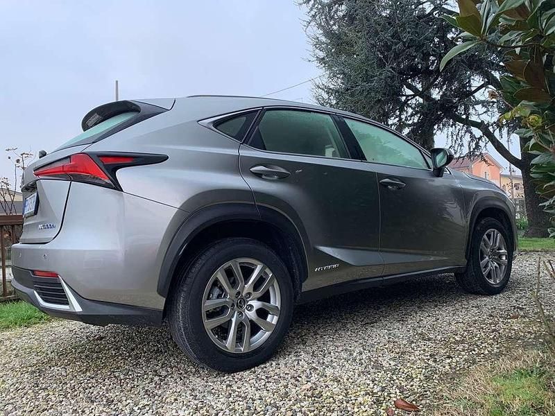 Usata Lexus NX300h Executive Line 155 CV (114 kW) 2018 SUV